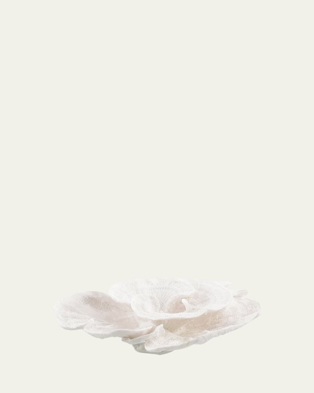 Foliose Coral